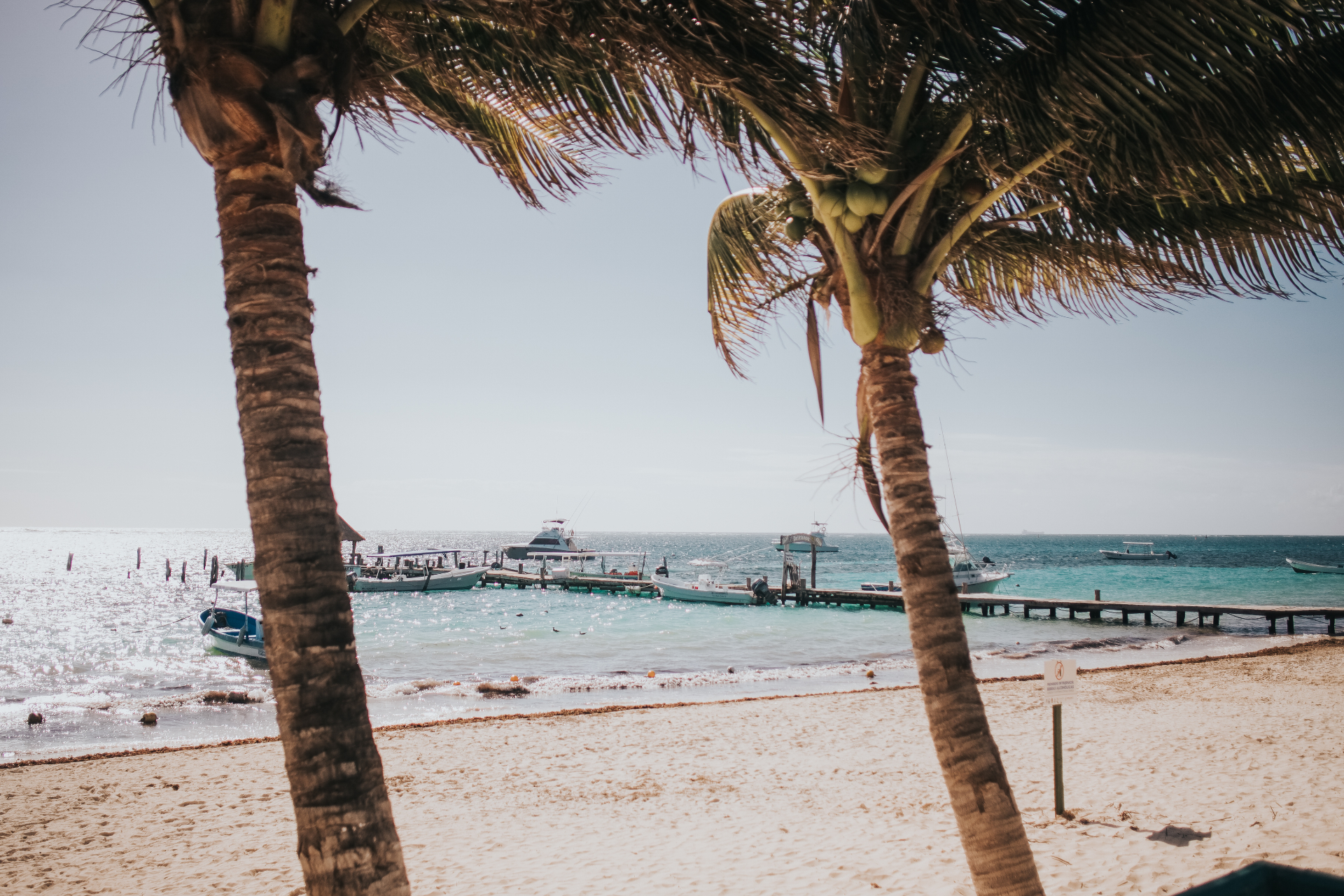 Palm trees framing the Puerto Morelos pier with fishing boats and turquoise sea